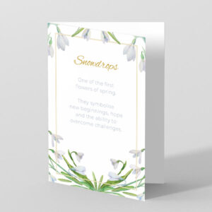 Snowdrops Condolence Card